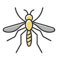 Дезинсекция